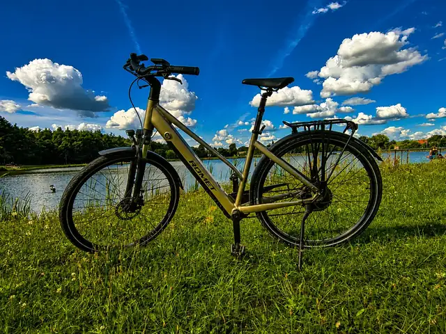 Rowery elektryczne na trawie nad wodą